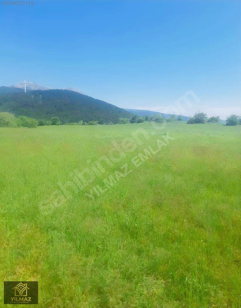 Eğribük Köyü'nde Fırsat Satılık 5011 m² Tarla
