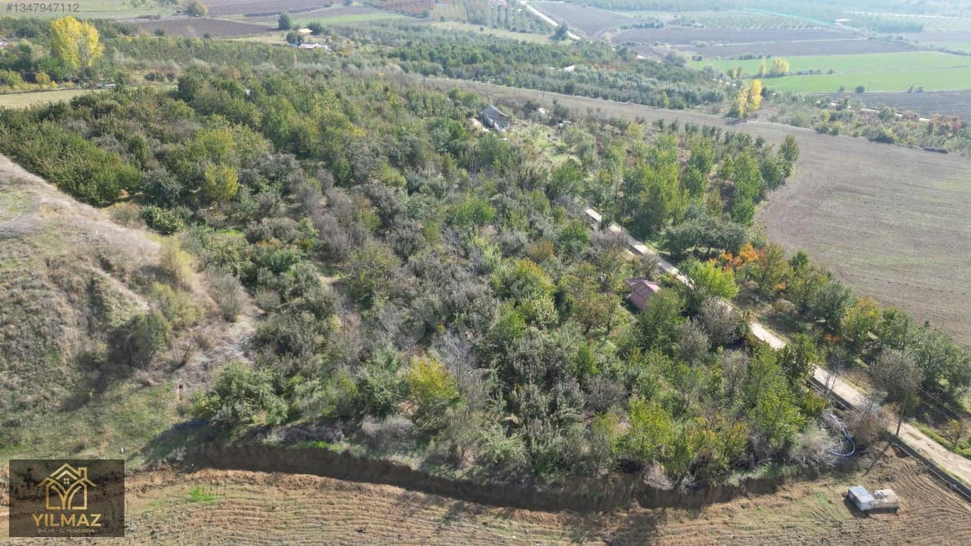 Yolpınar Köyü'nde Fırsat 3.648 m² Tarla
